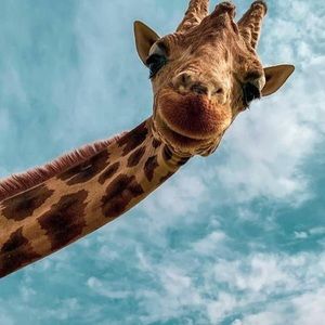 CLOSET CLEAR OUT!!!!! GET IT NOW OR NEVER!!!